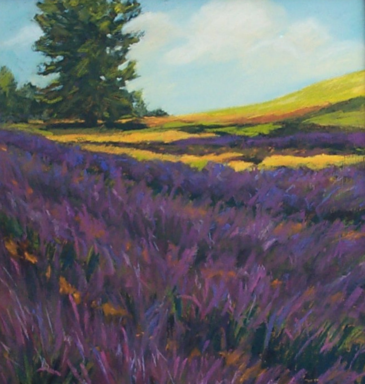 LavenderFields